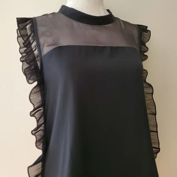 Pinko Silk Ruffle Blouse - Picture 5 of 14